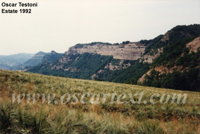 Il contrafforte pliocenico visto dall'altopiano presso campione con il Monte del Frate, la Rocca di Badolo e Monte Mario