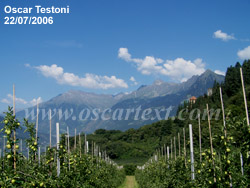 Il Gruppo di Tessa visto dalla Val Nova