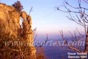 Una guglia di Monte Adone